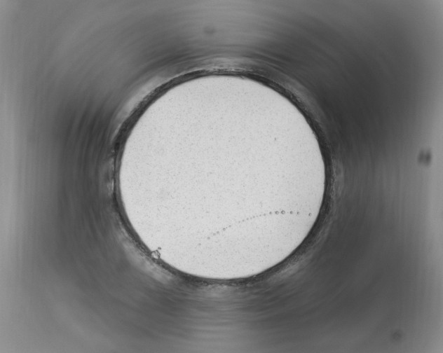 X0000112741075200910011215