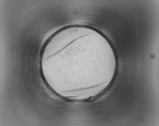 X0000112741077200910011215