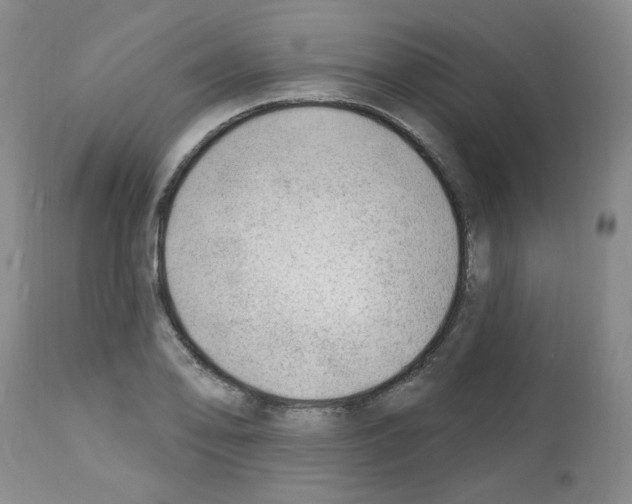 X0000112741078200910011215