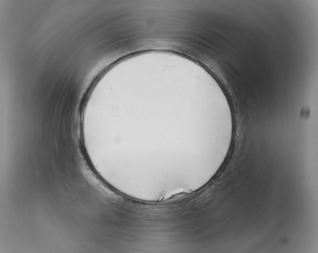 X0000112741080200910011215