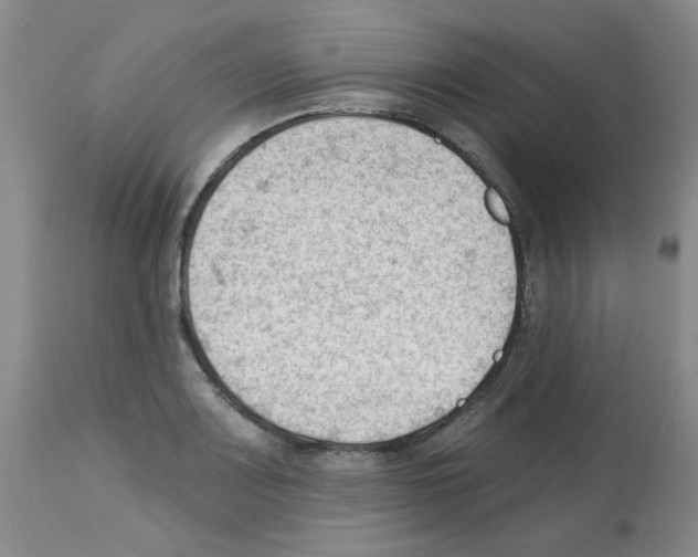 X0000112741083200910011215