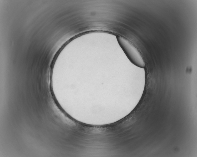 X0000112741084200910011215