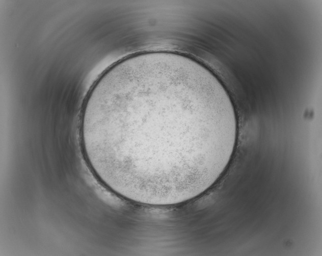 X0000112741086200910011215