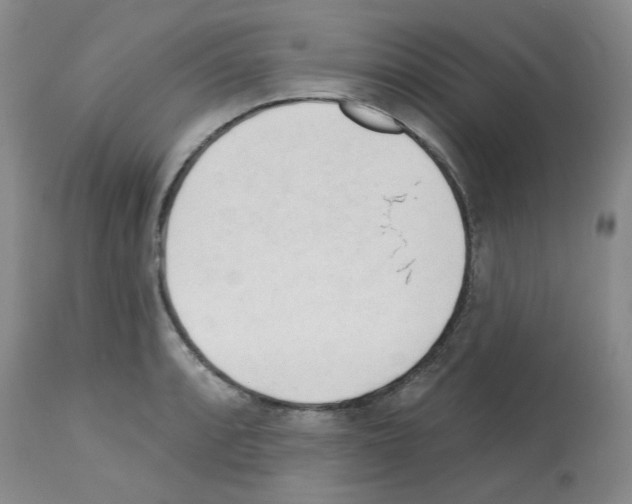 X0000112741088200910011215