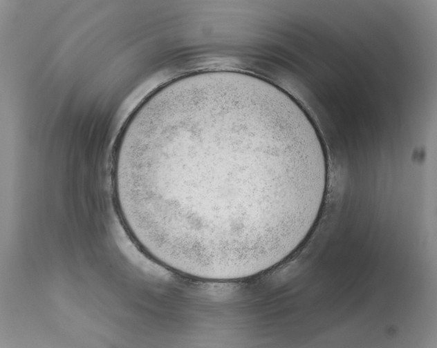 X0000112741090200910011215