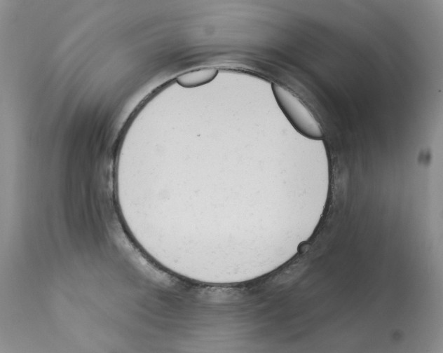 X0000112741092200910011215