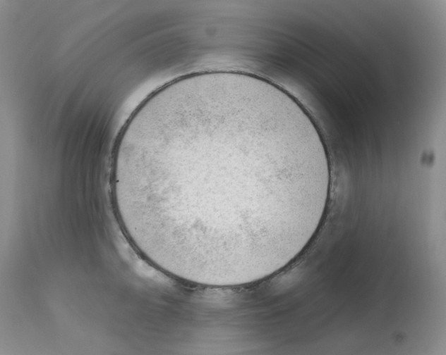 X0000112741094200910011215