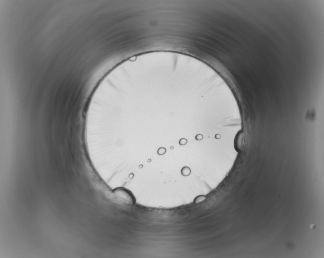 X0000112741096200910011215