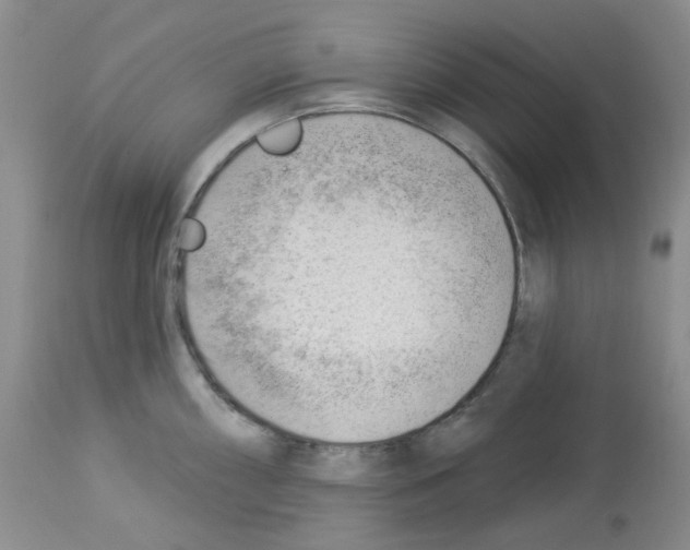 X0000112741098200910011215