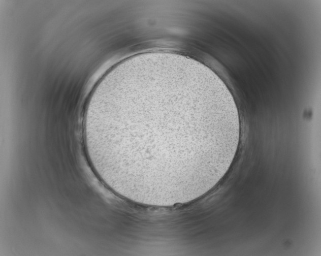 X0000112741099200910011215