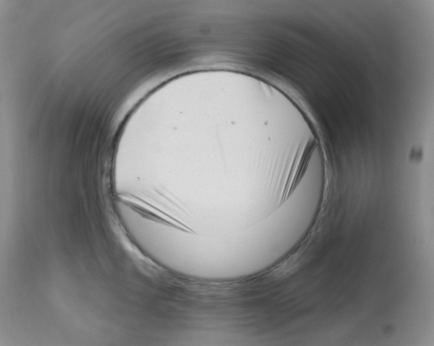 X0000112741101200910011215