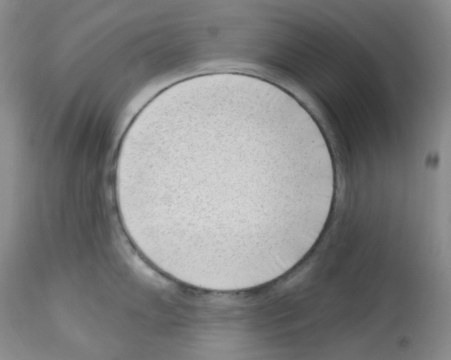 X0000112741102200910011215