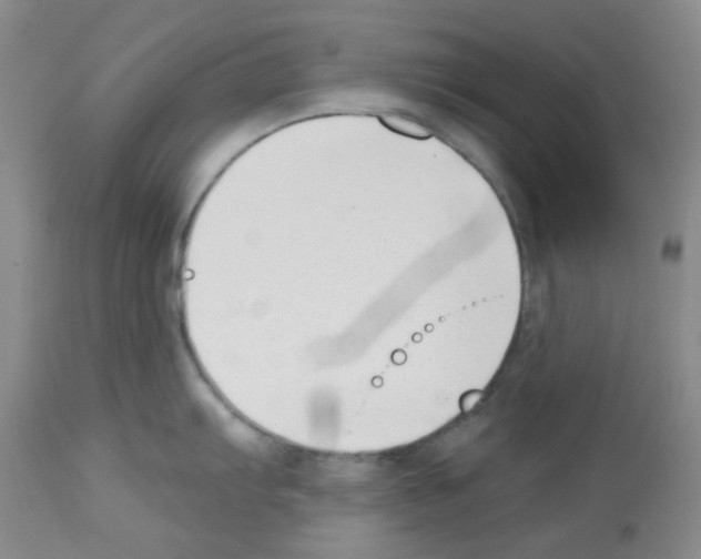 X0000112741103200910011215