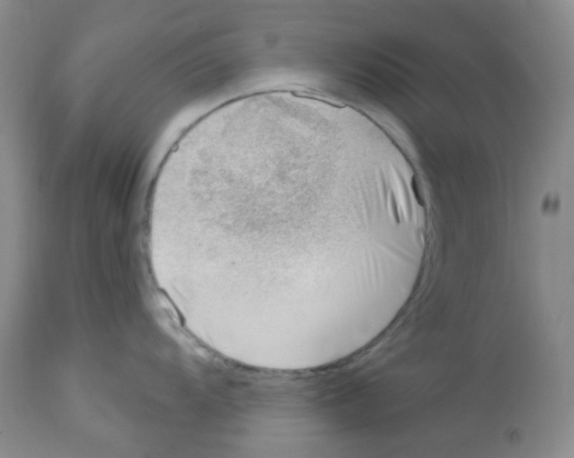 X0000112741104200910011215