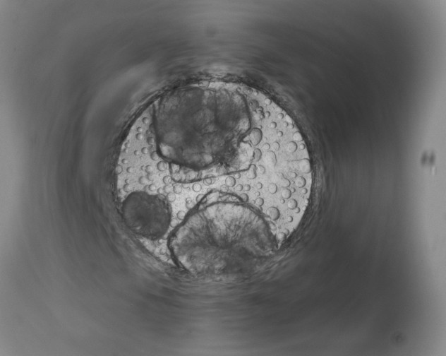 X0000112741105200910011214