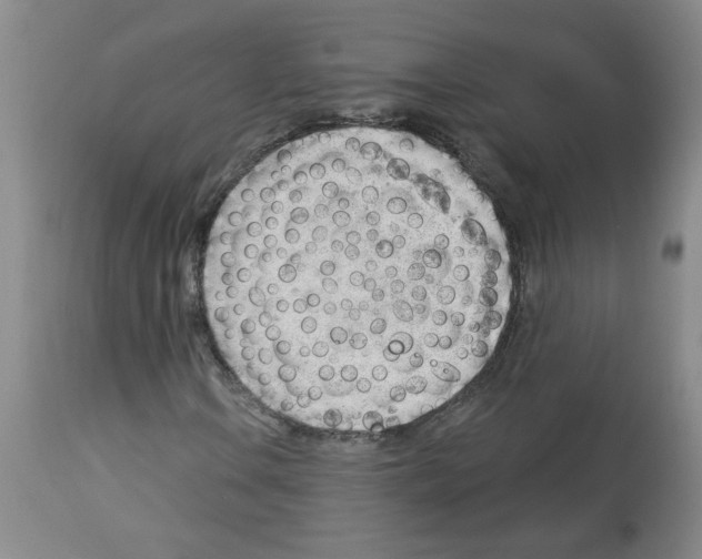 X0000112741106200910011214