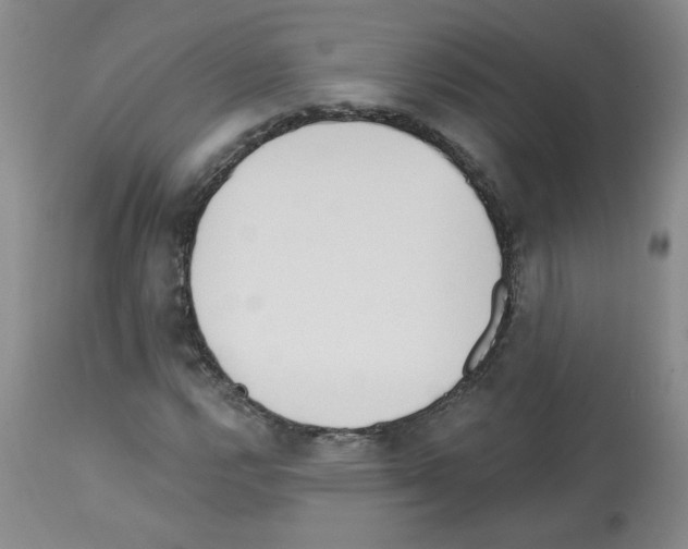 X0000112741112200910011214