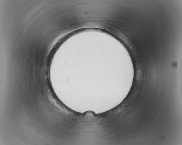 X0000112741116200910011214