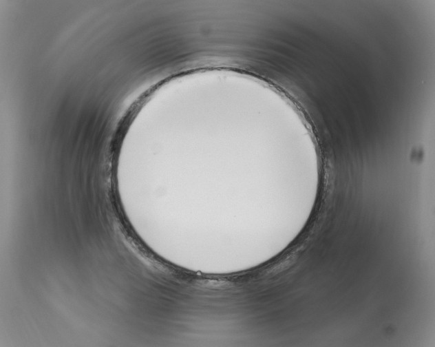 X0000112741119200910011214