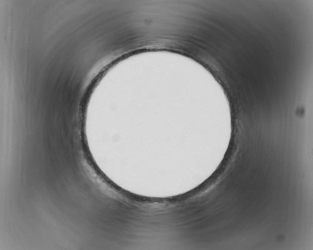 X0000112741122200910011214