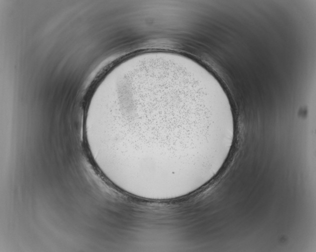 X0000112741123200910011214