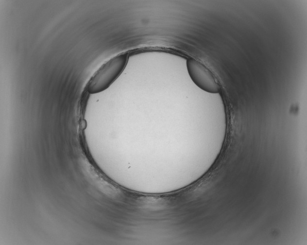 X0000112741124200910011214