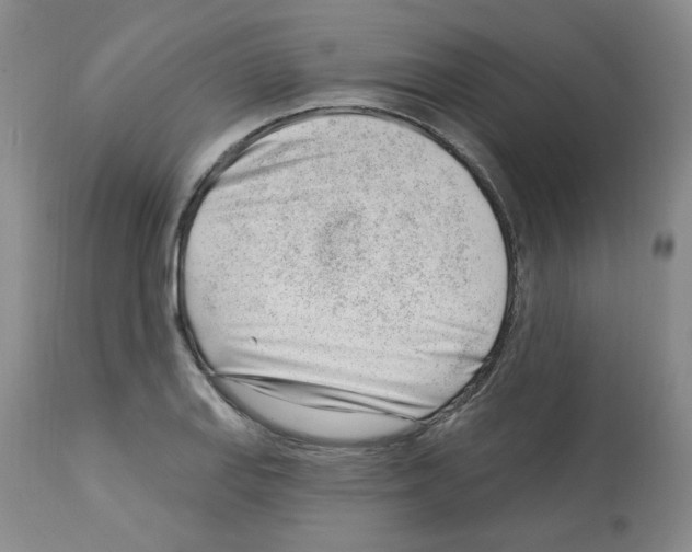 X0000112741127200910011214