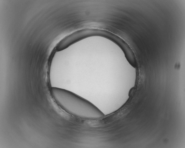 X0000112741128200910011214