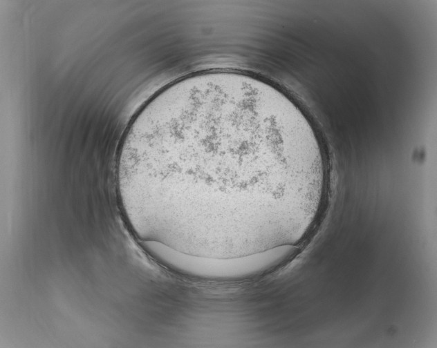 X0000112741129200910011214