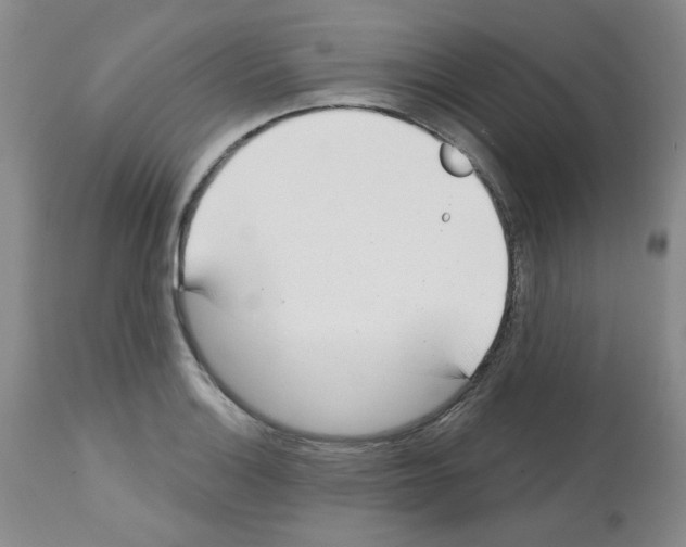 X0000112741132200910011214