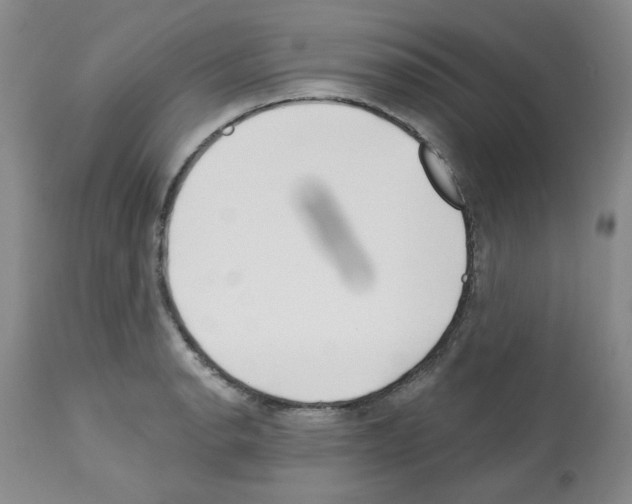 X0000112741134200910011214