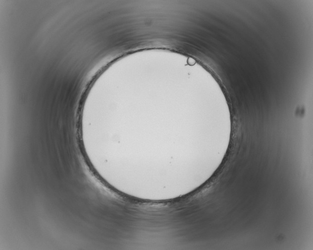 X0000112741135200910011214