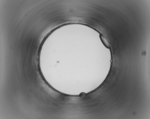 X0000112741136200910011214