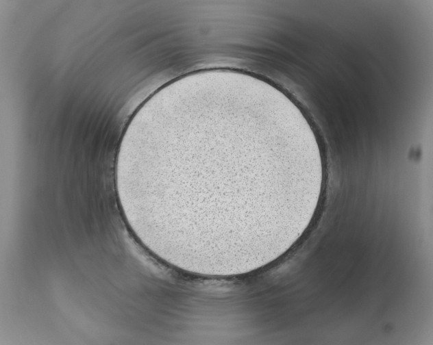 X0000112741137200910011214