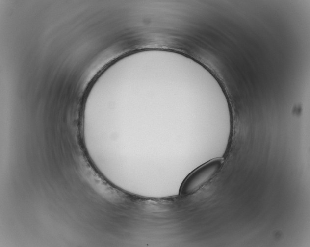 X0000112741138200910011215