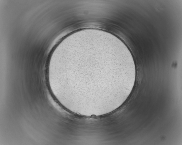 X0000112741139200910011215