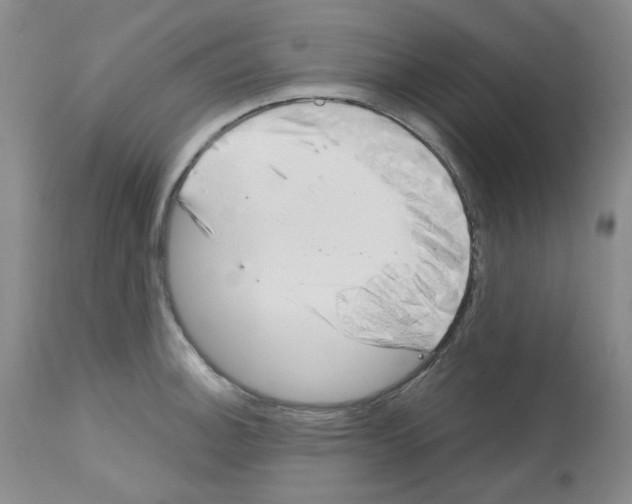 X0000112741140200910011215