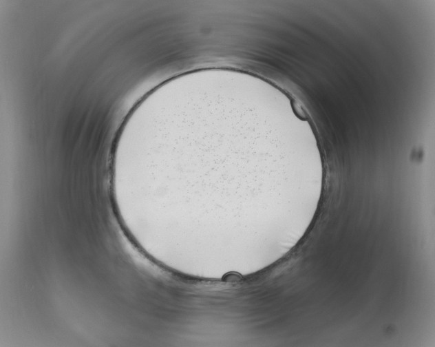 X0000112741143200910011215