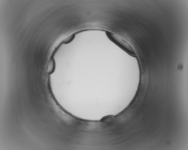 X0000112741144200910011215