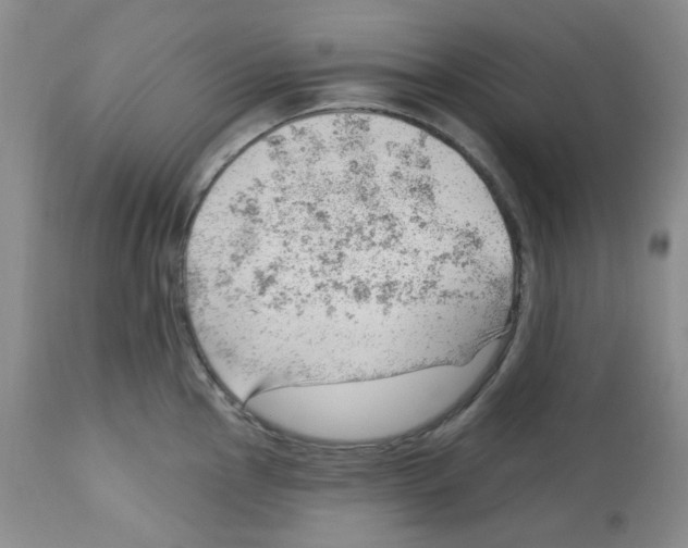 X0000112741145200910011215