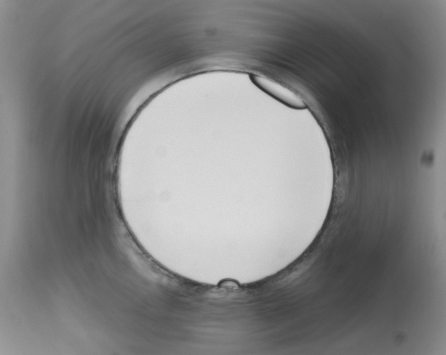 X0000112741146200910011215