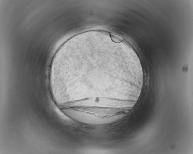 X0000112741151200910011215