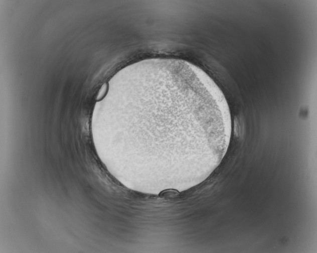 X0000112741155200910011214