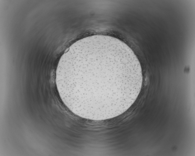 X0000112741156200910011214