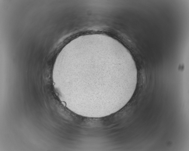 X0000112741158200910011214