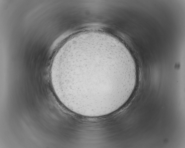 X0000112741164200910011214