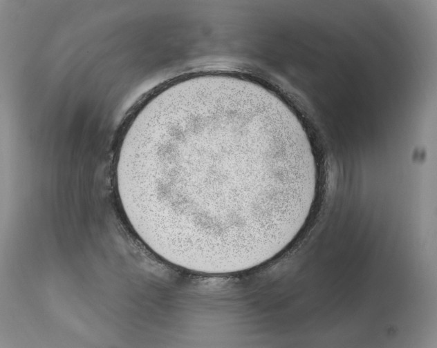 X0000112741166200910011214