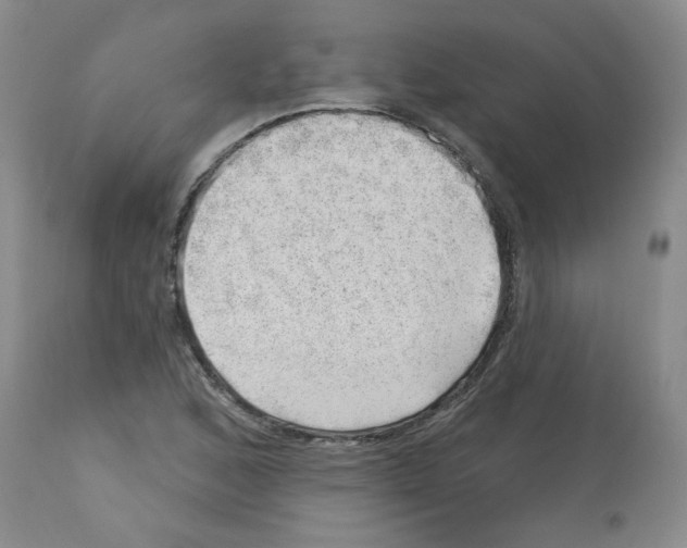 X0000112741168200910011214