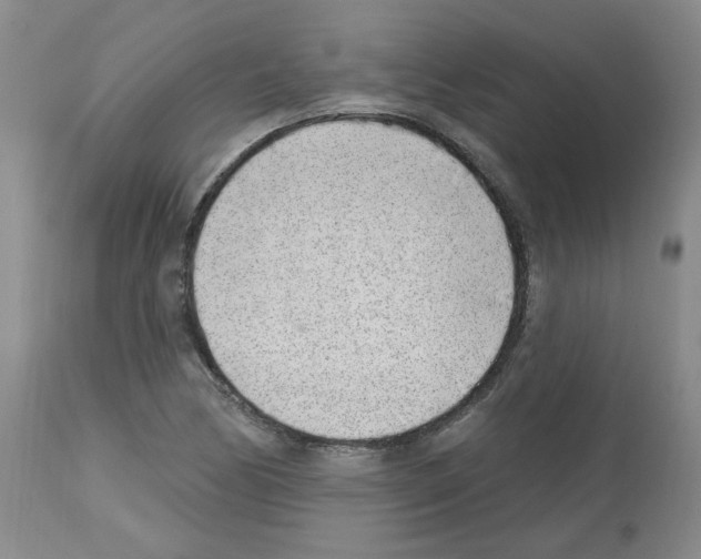 X0000112741170200910011214