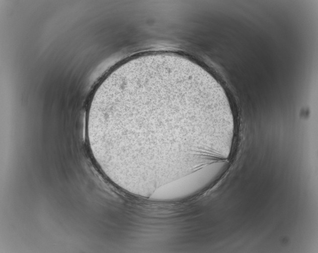 X0000112741171200910011214